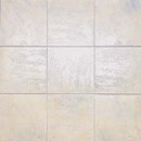 Maiolica 20x20