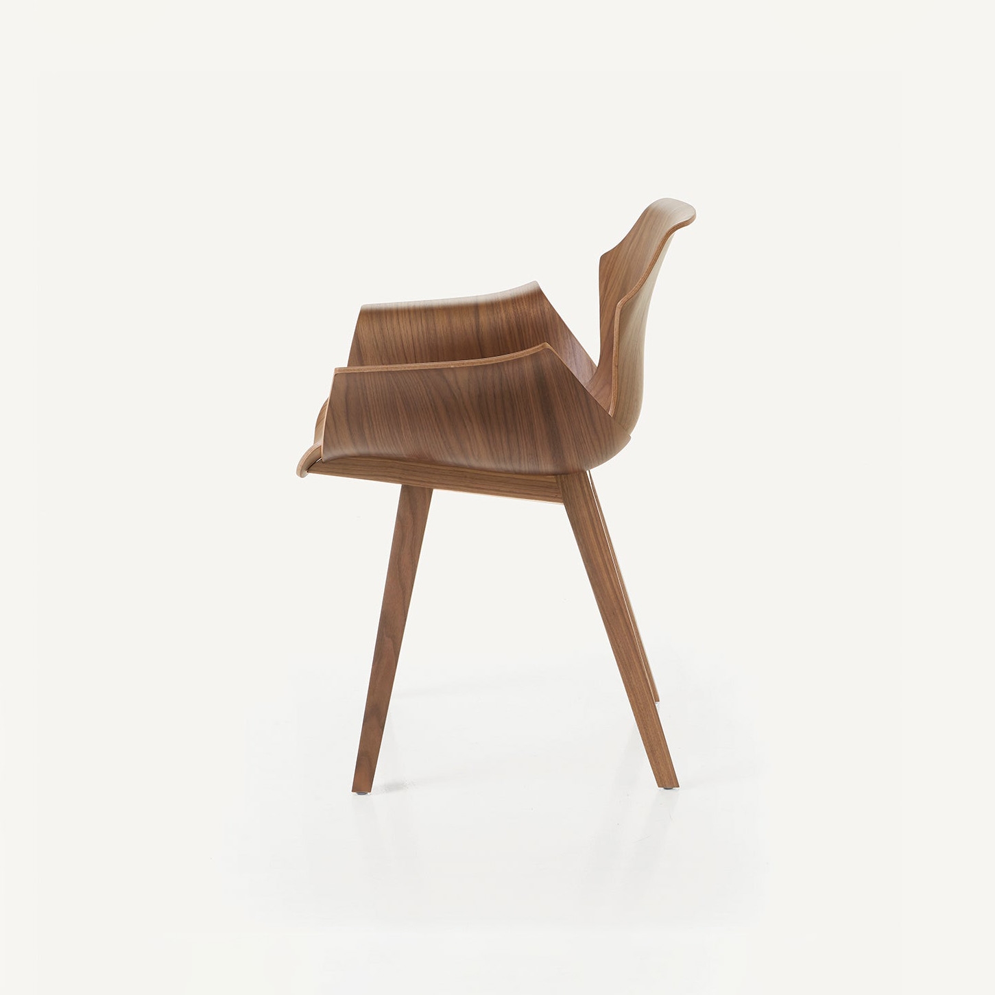 Petal Chair