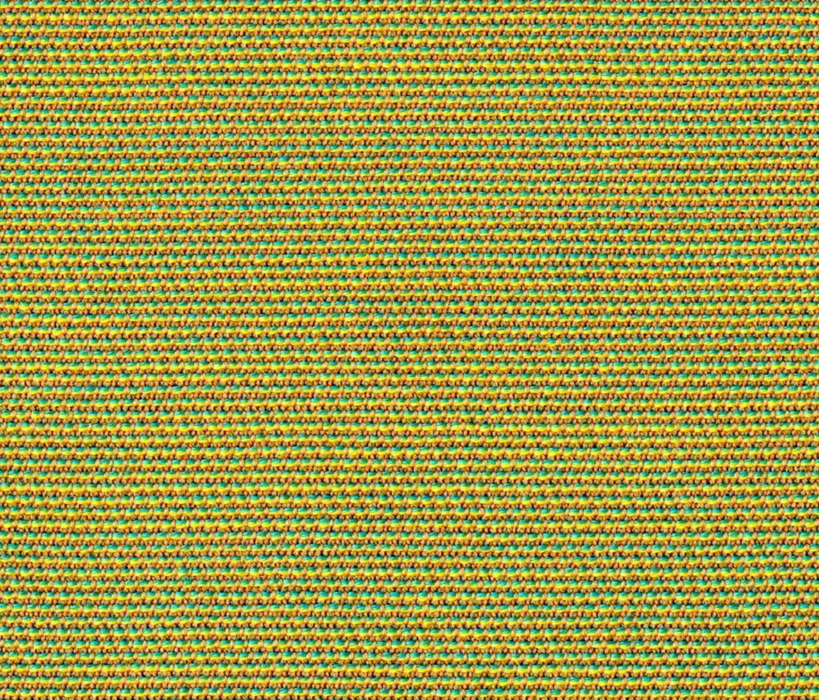 rohi - Chameleon Kiwi