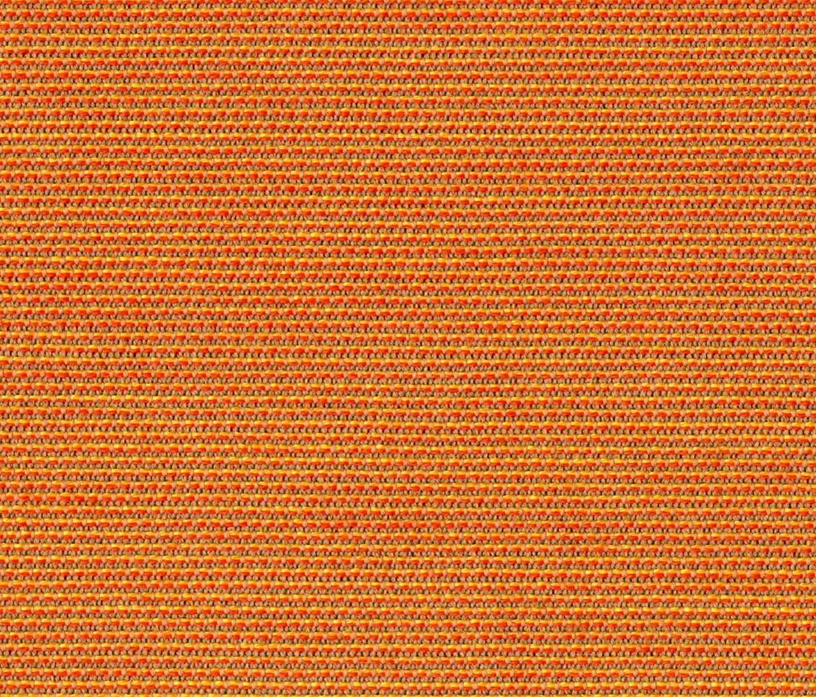 rohi - Chameleon Mango