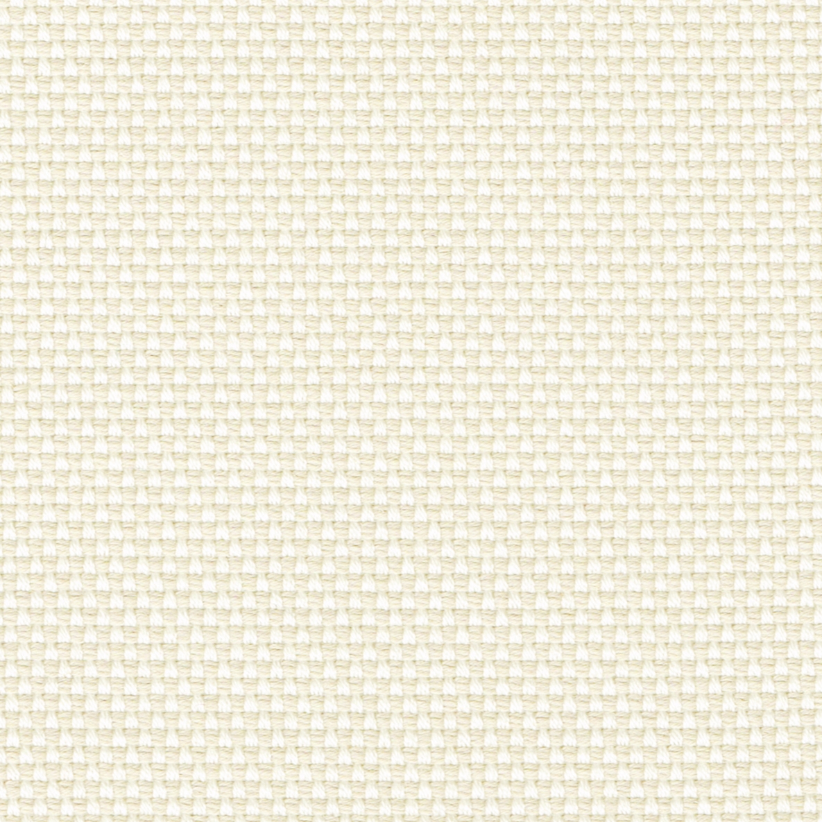 NOVUM snow
