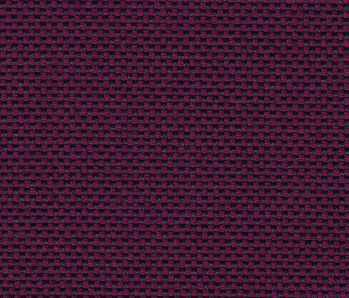 rohi - NOVUM viola