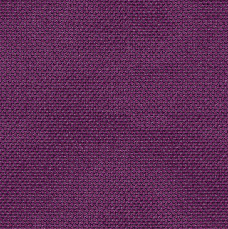 rohi - NOVUM viola