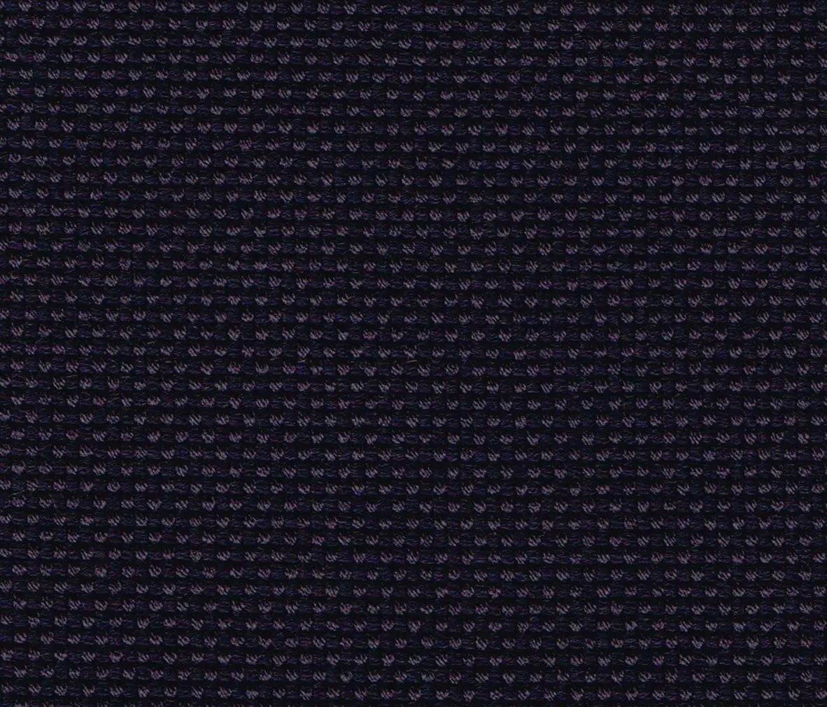 rohi - NOVUM prune