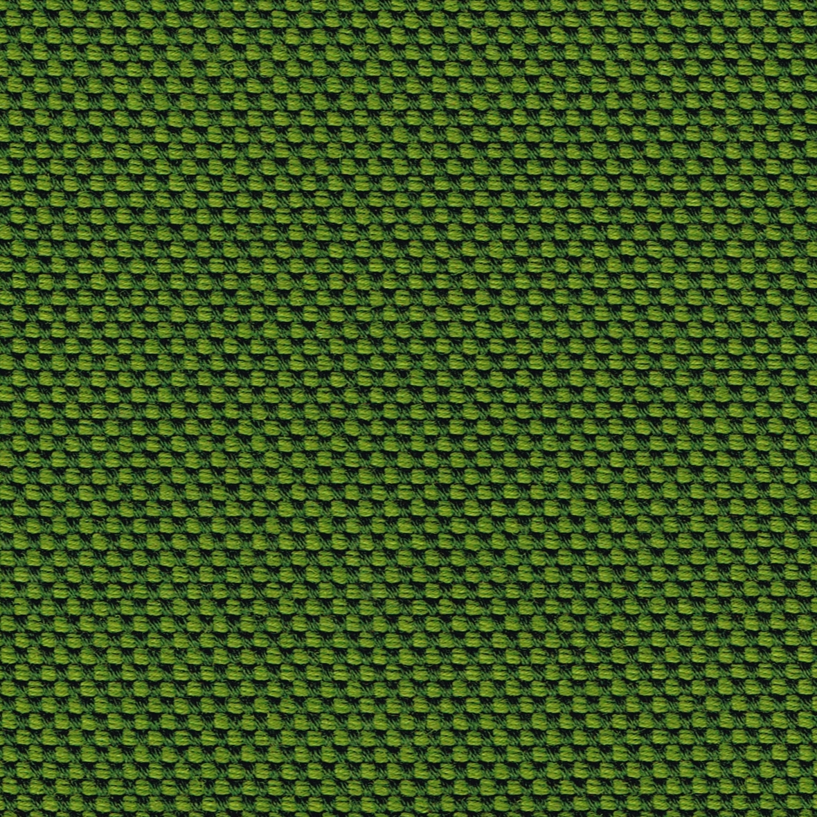 Display product NOVUM moss from manufacturer rohi