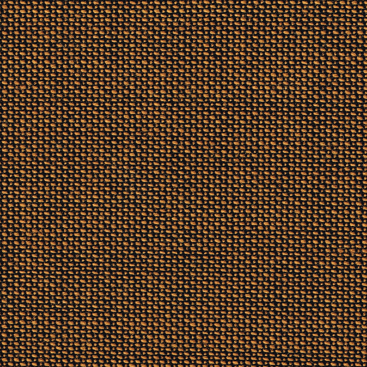 TOPIA bronce