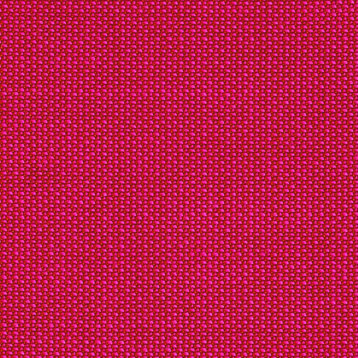 TOPIA calluna