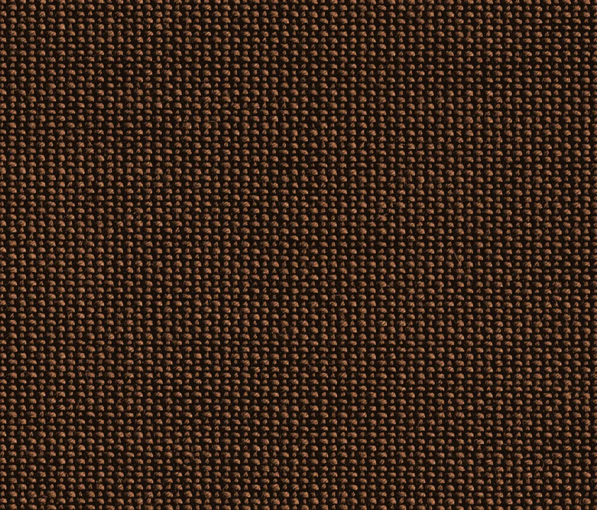 rohi - TOPIA coffee