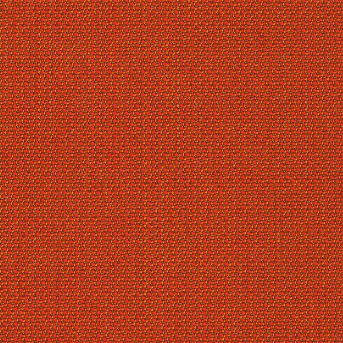 TOPIA coral
