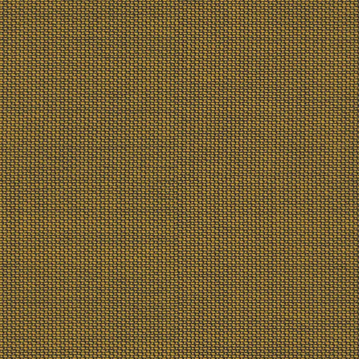 rohi - TOPIA gold