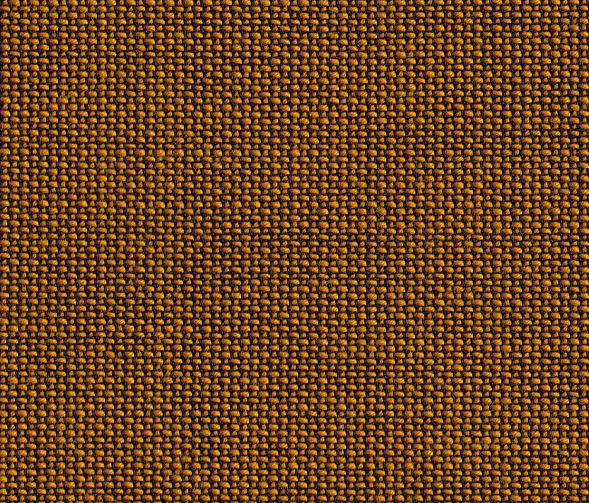 rohi - TOPIA gold