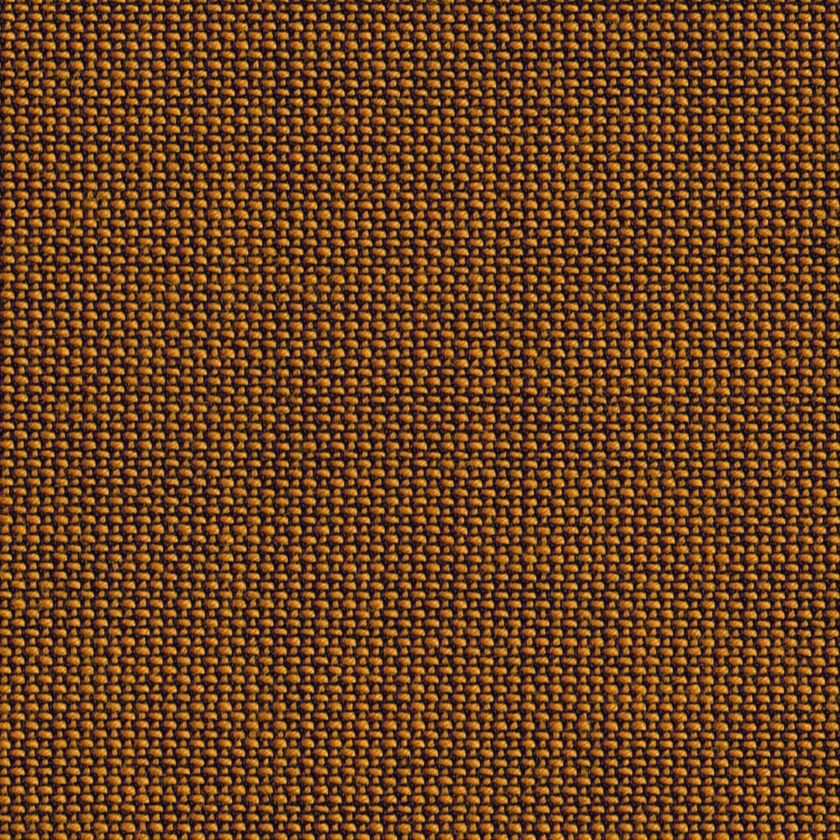 Display product TOPIA gold from manufacturer rohi