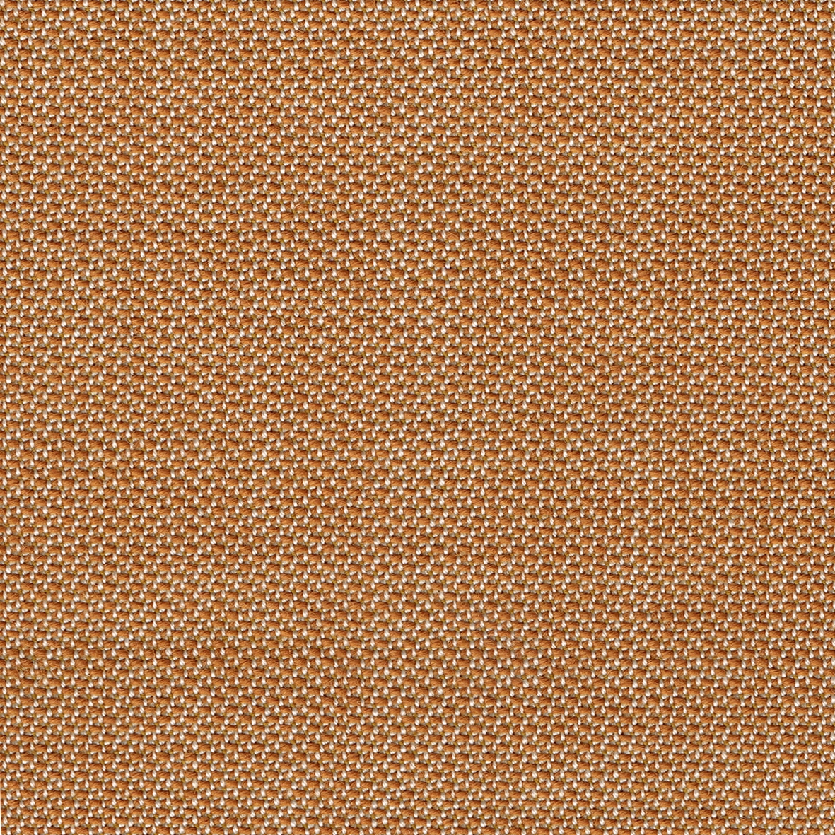 Display product TOPIA messing from manufacturer rohi