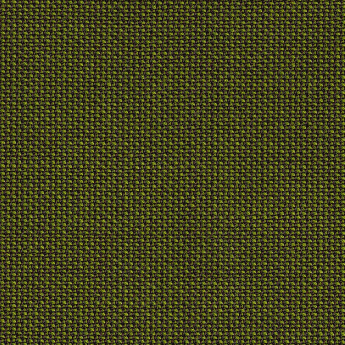 Display product TOPIA palm from manufacturer rohi