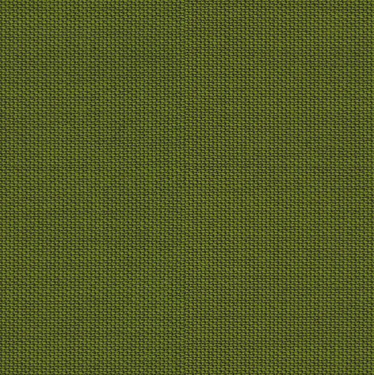 rohi - TOPIA palm
