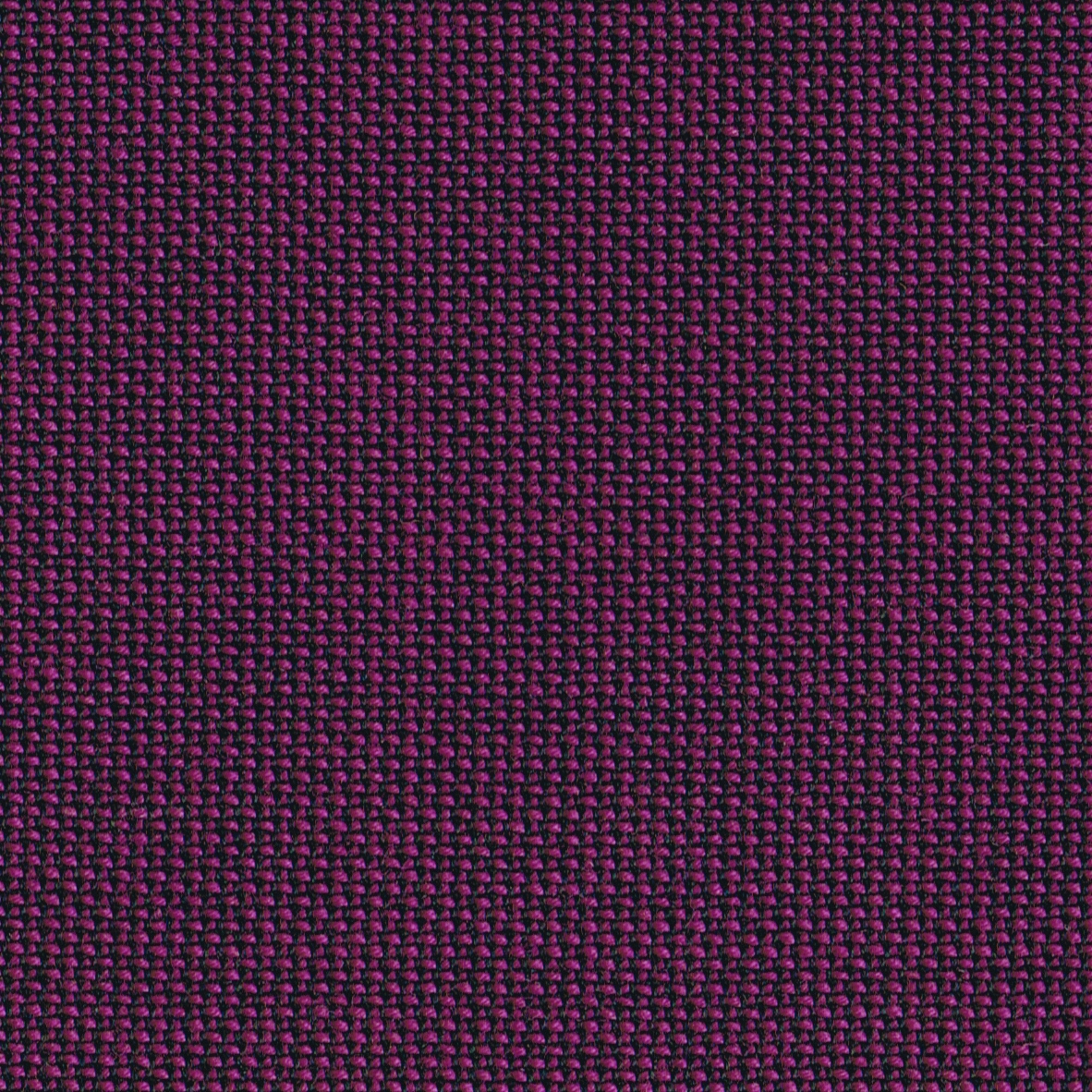 Display product TOPIA viola from manufacturer rohi