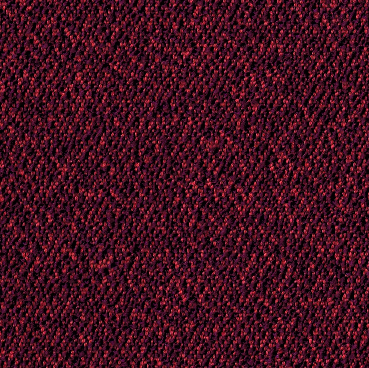 rohi - SERA berry