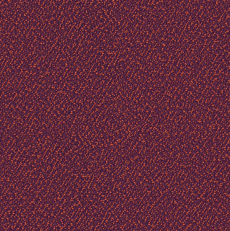 rohi - SERA berry