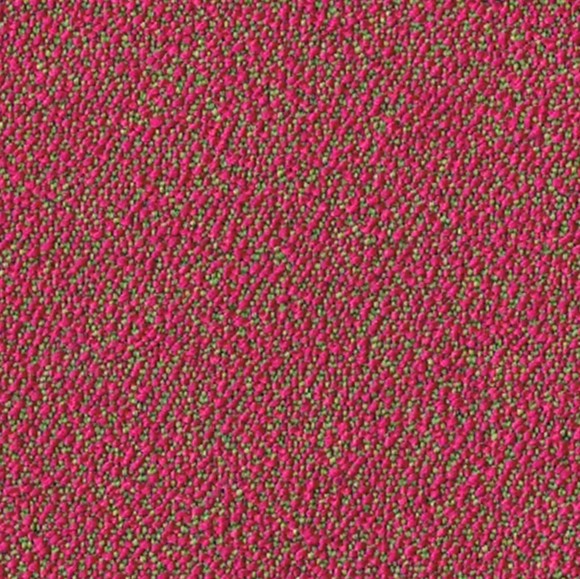 rohi - SERA lotus