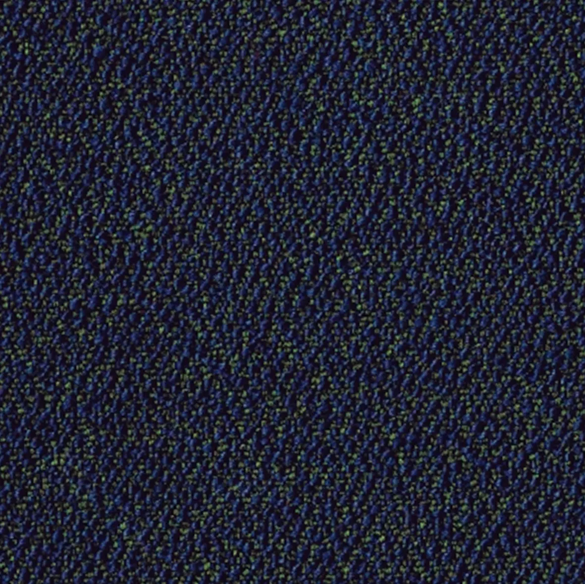 rohi - SERA mare