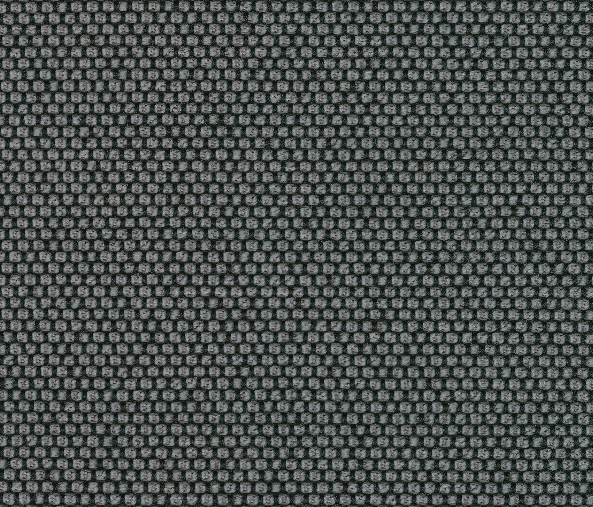 rohi - OPERA carbon