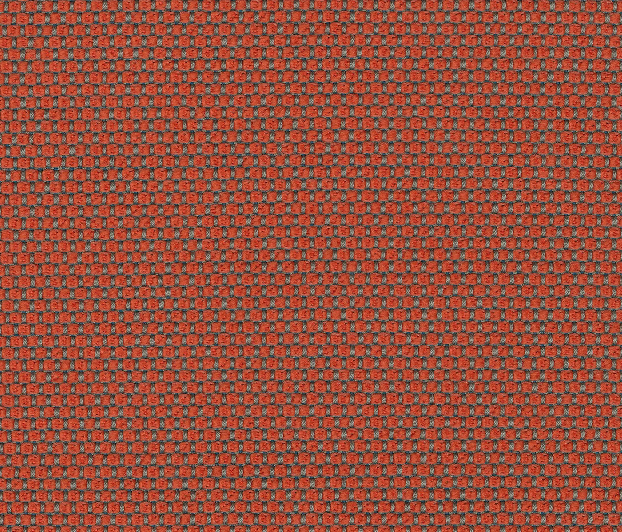 rohi - OPERA clementine