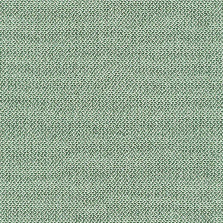 rohi - CREDO aloe