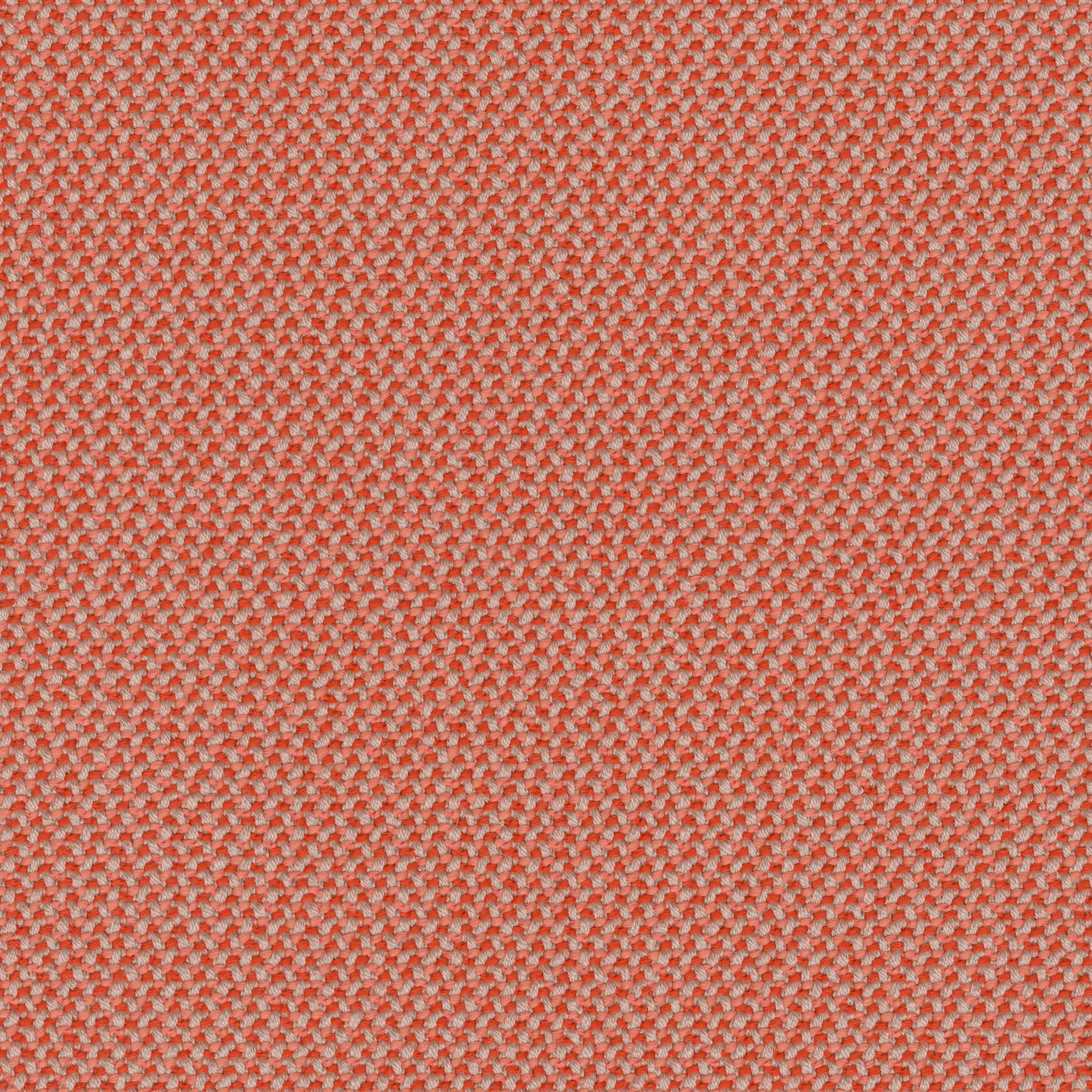 rohi - CREDO grapefruit