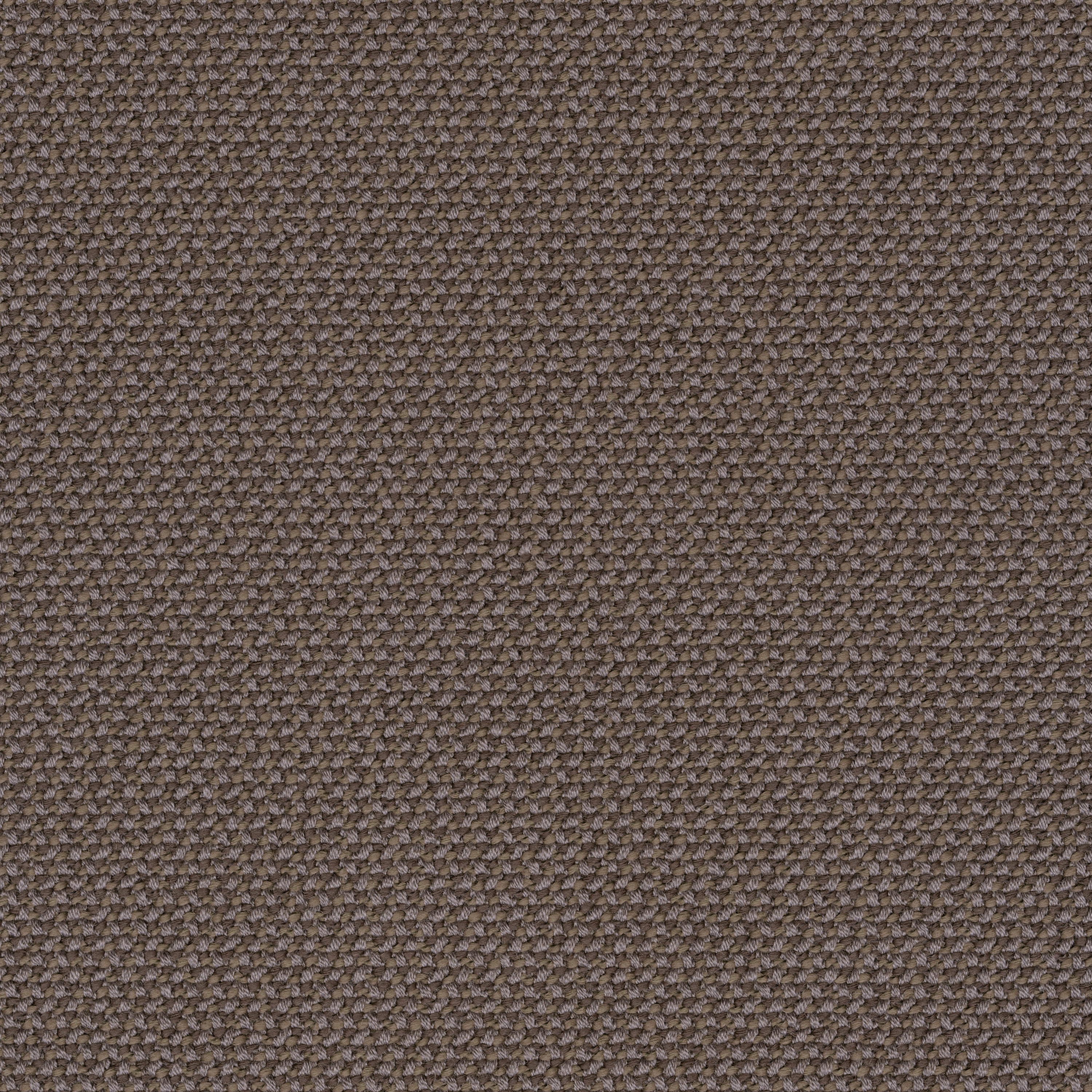 Mostrar el producto CREDO walnut del fabricante rohi