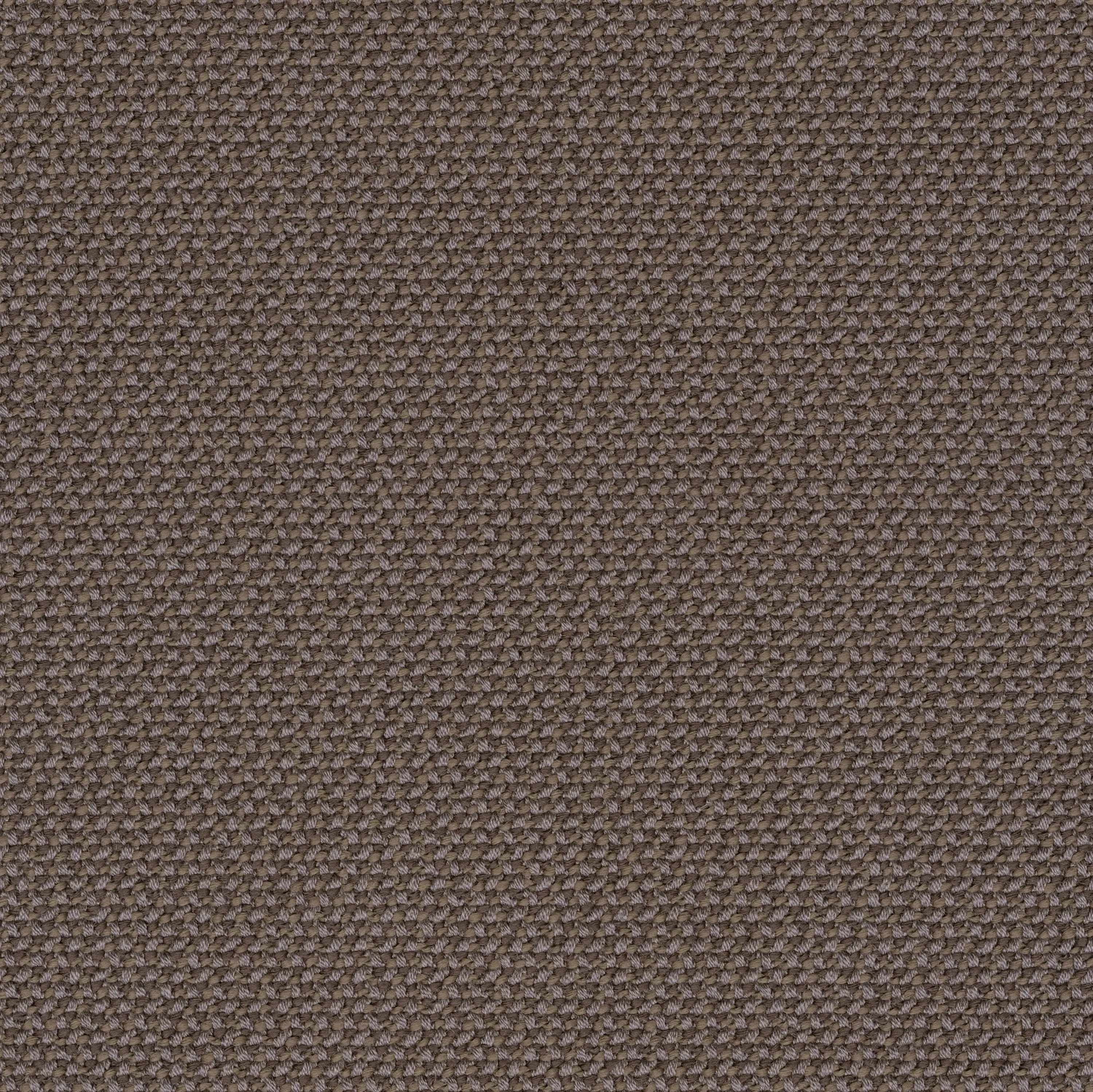rohi - CREDO walnut