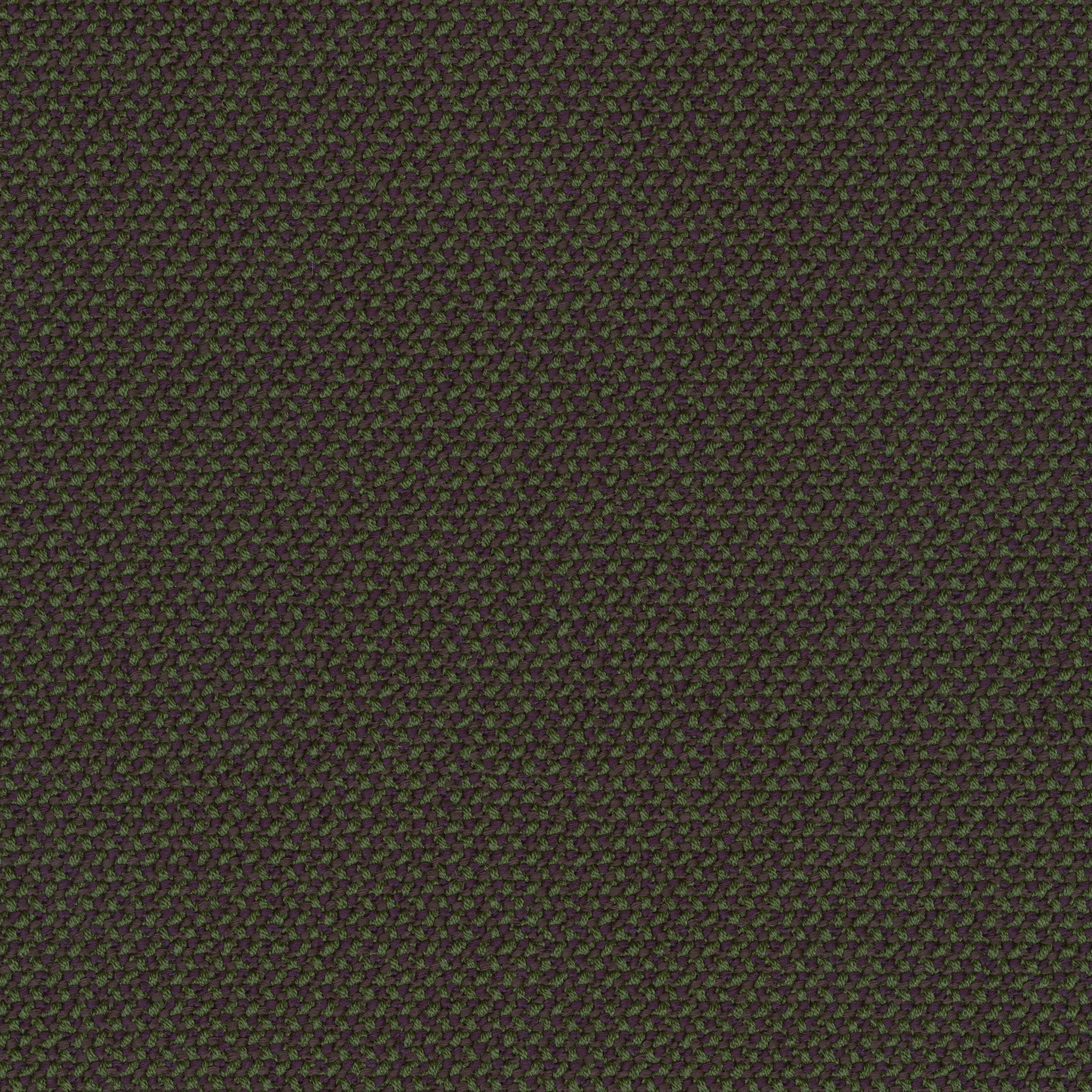 Display product CREDO forest from manufacturer rohi