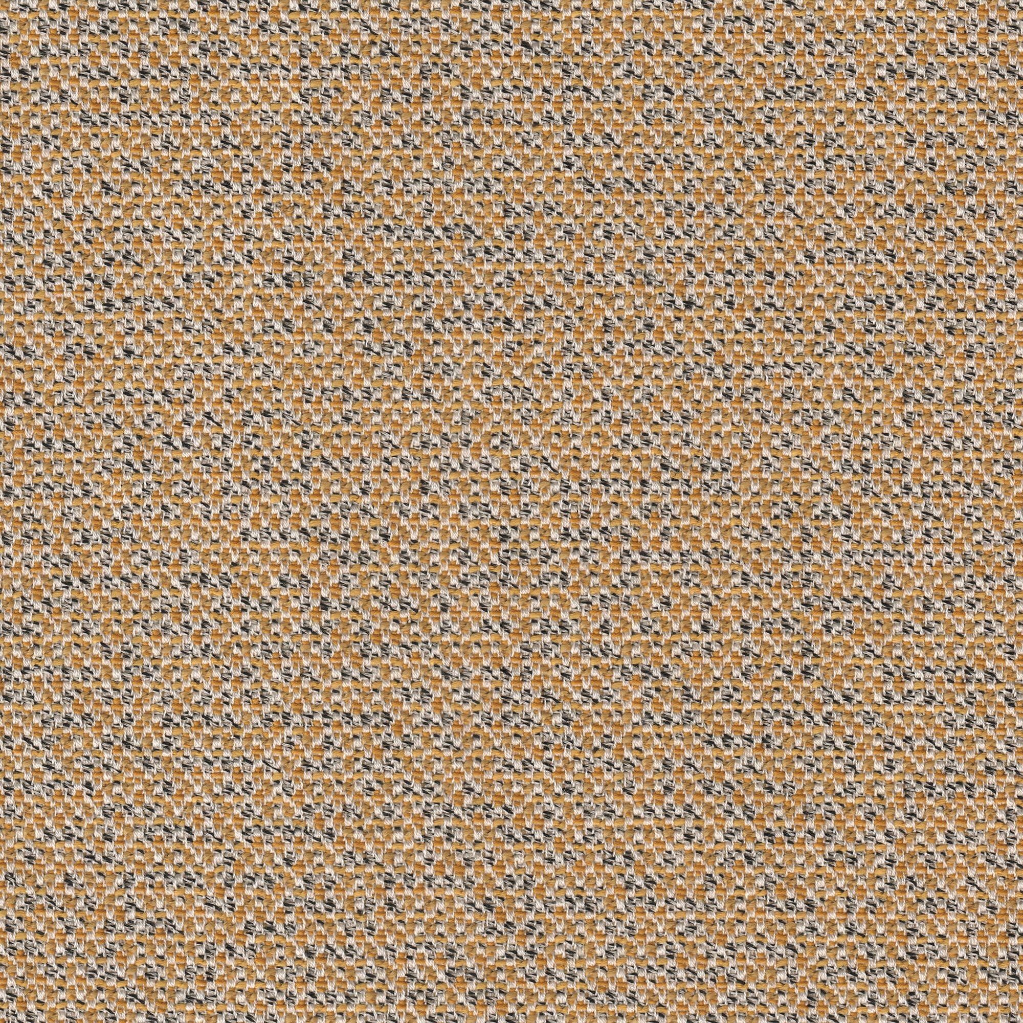 SPECIAL MICA corn
