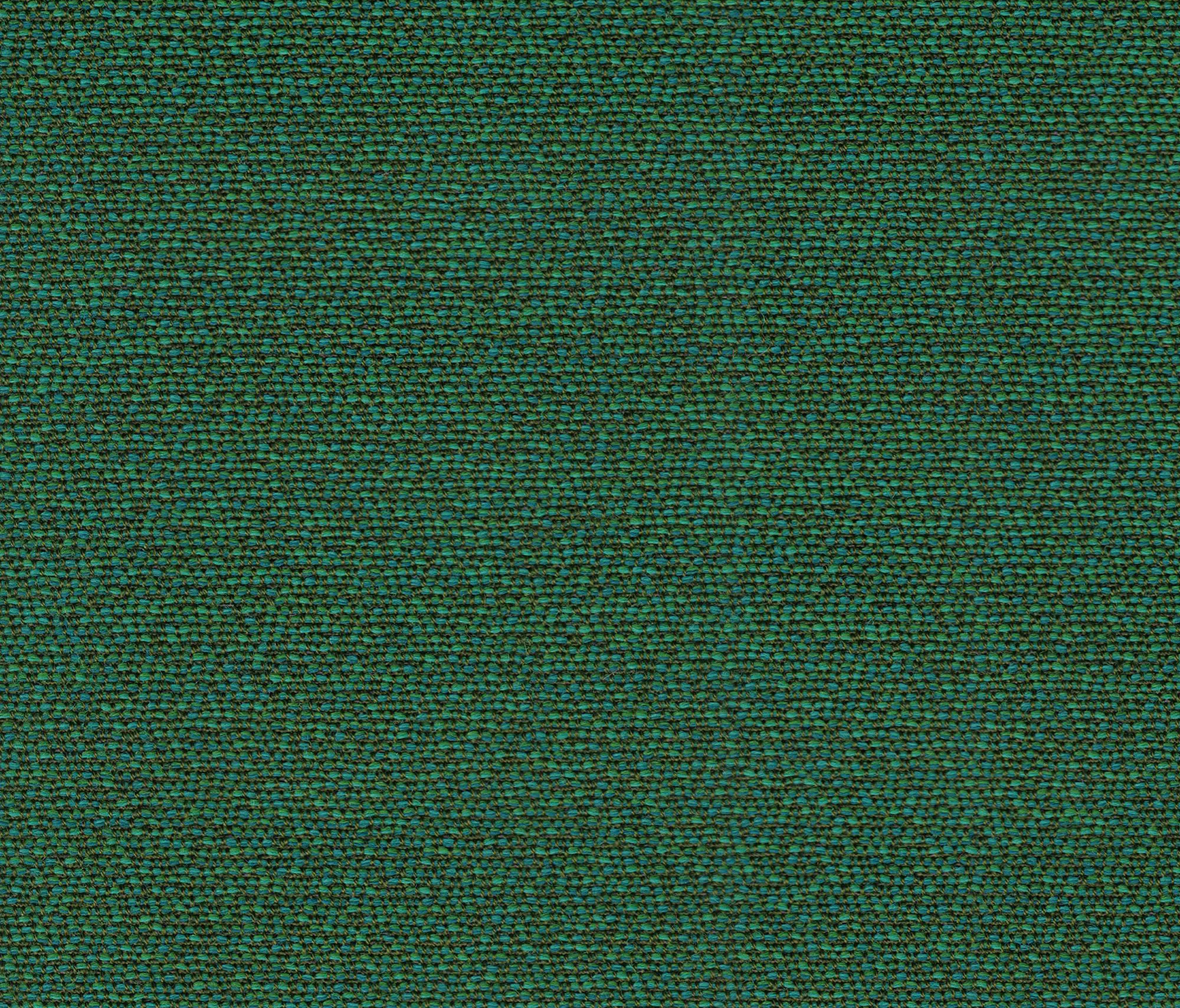 rohi - SHAKE bold