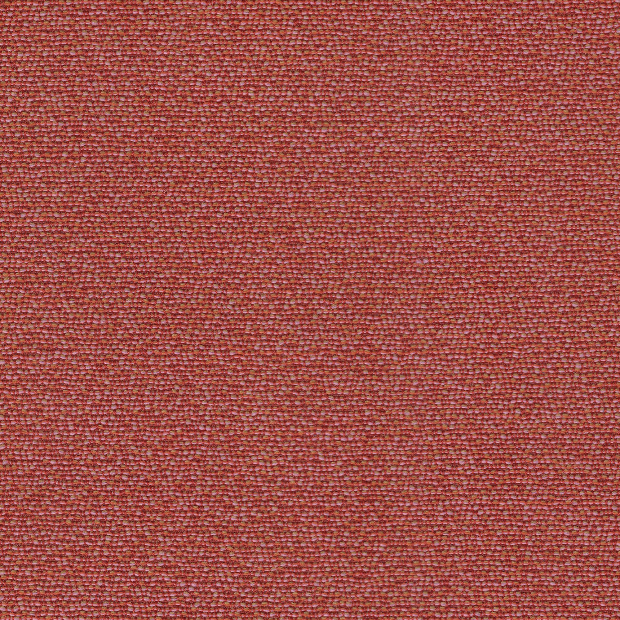 SHAKE coral