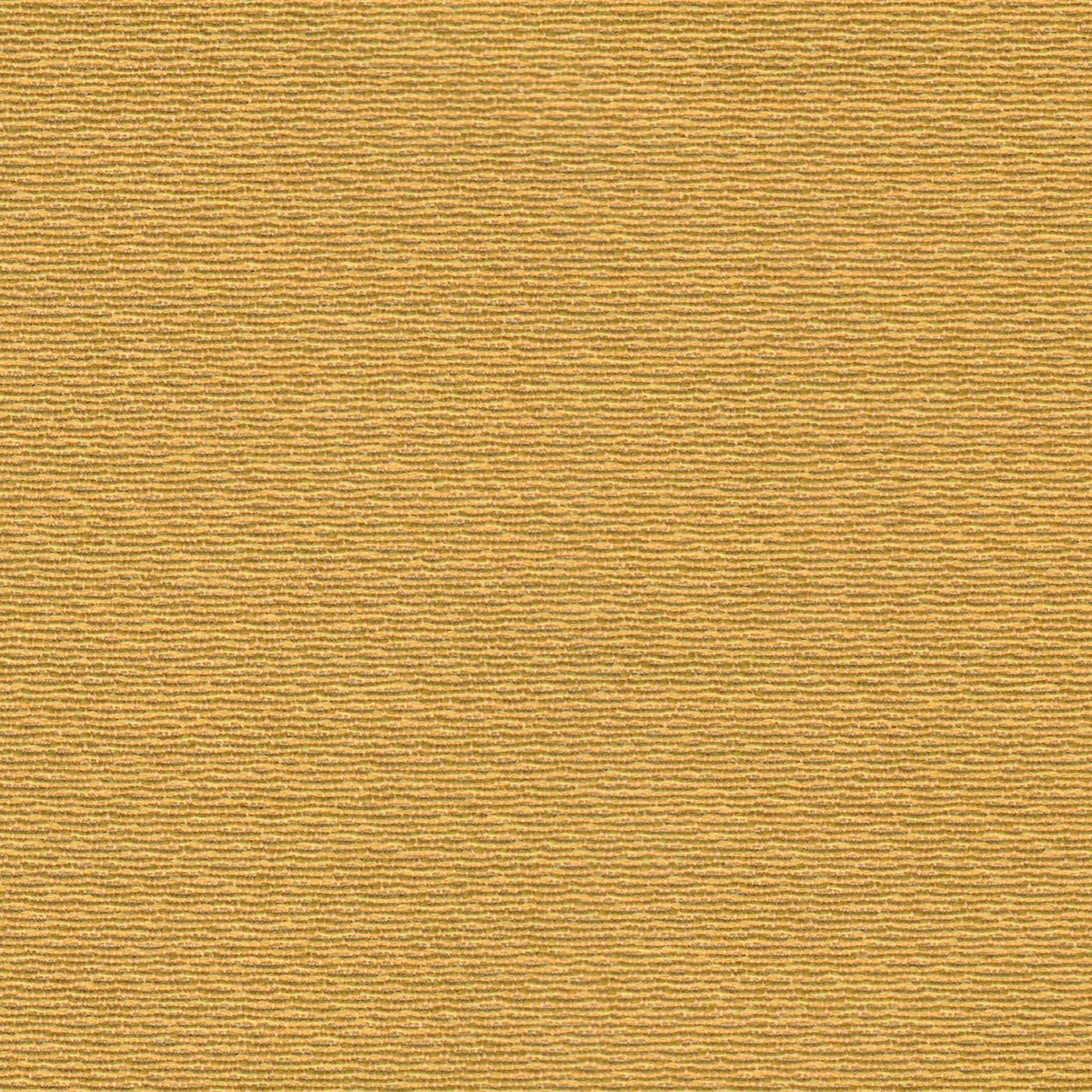 Mostra il prodotto SHAKE kurkuma del produttore rohi