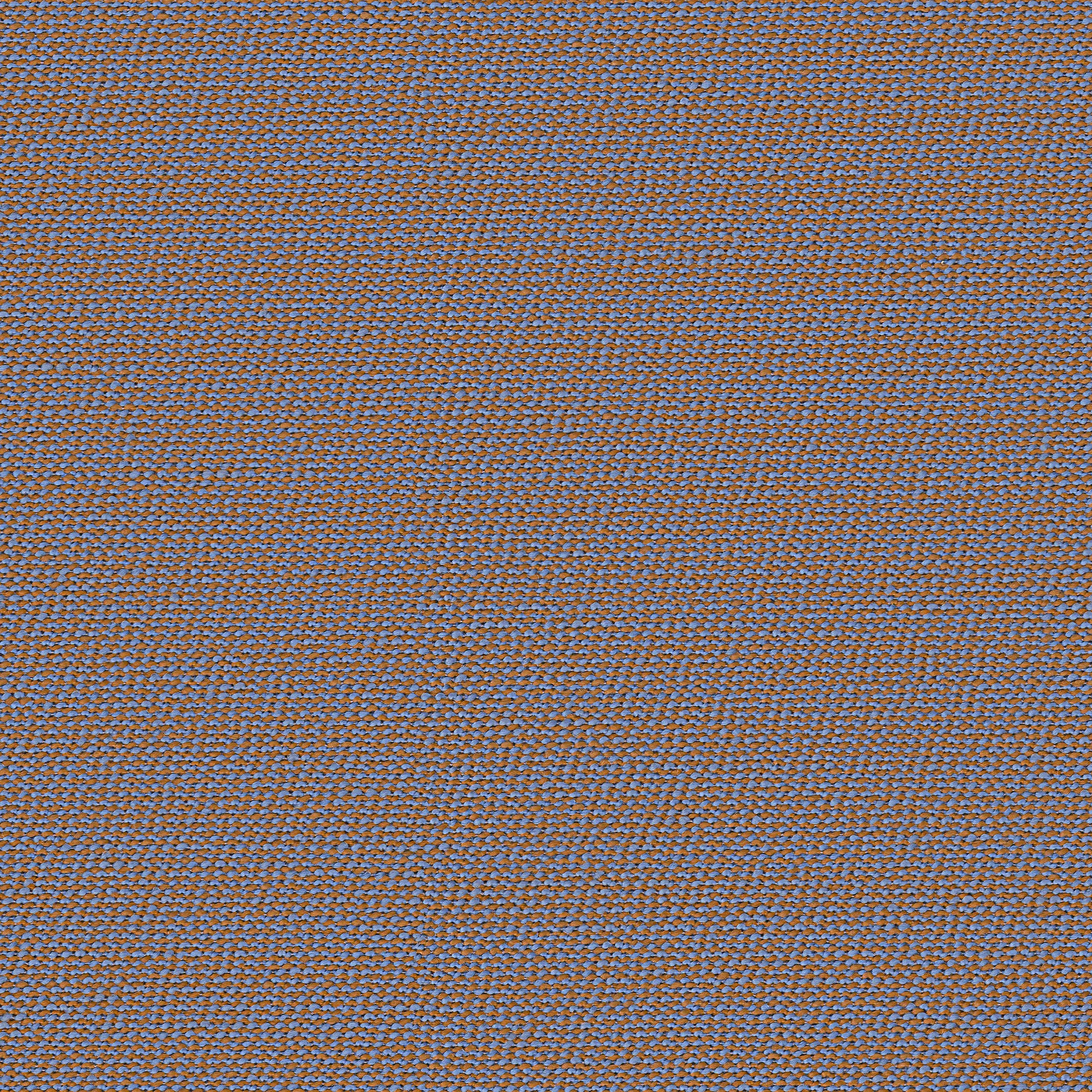 rohi - ARCO vivid