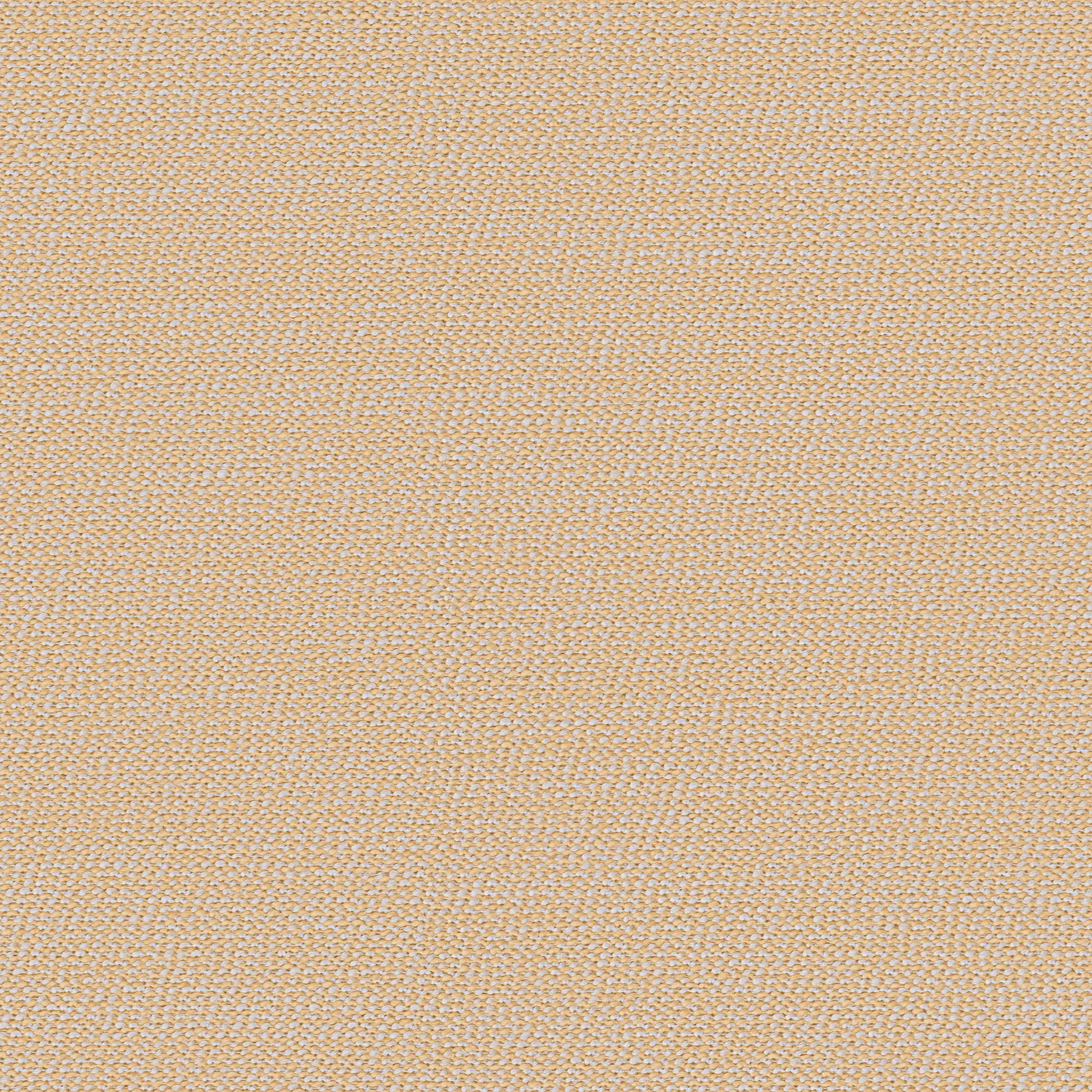 rohi - ARCO birch