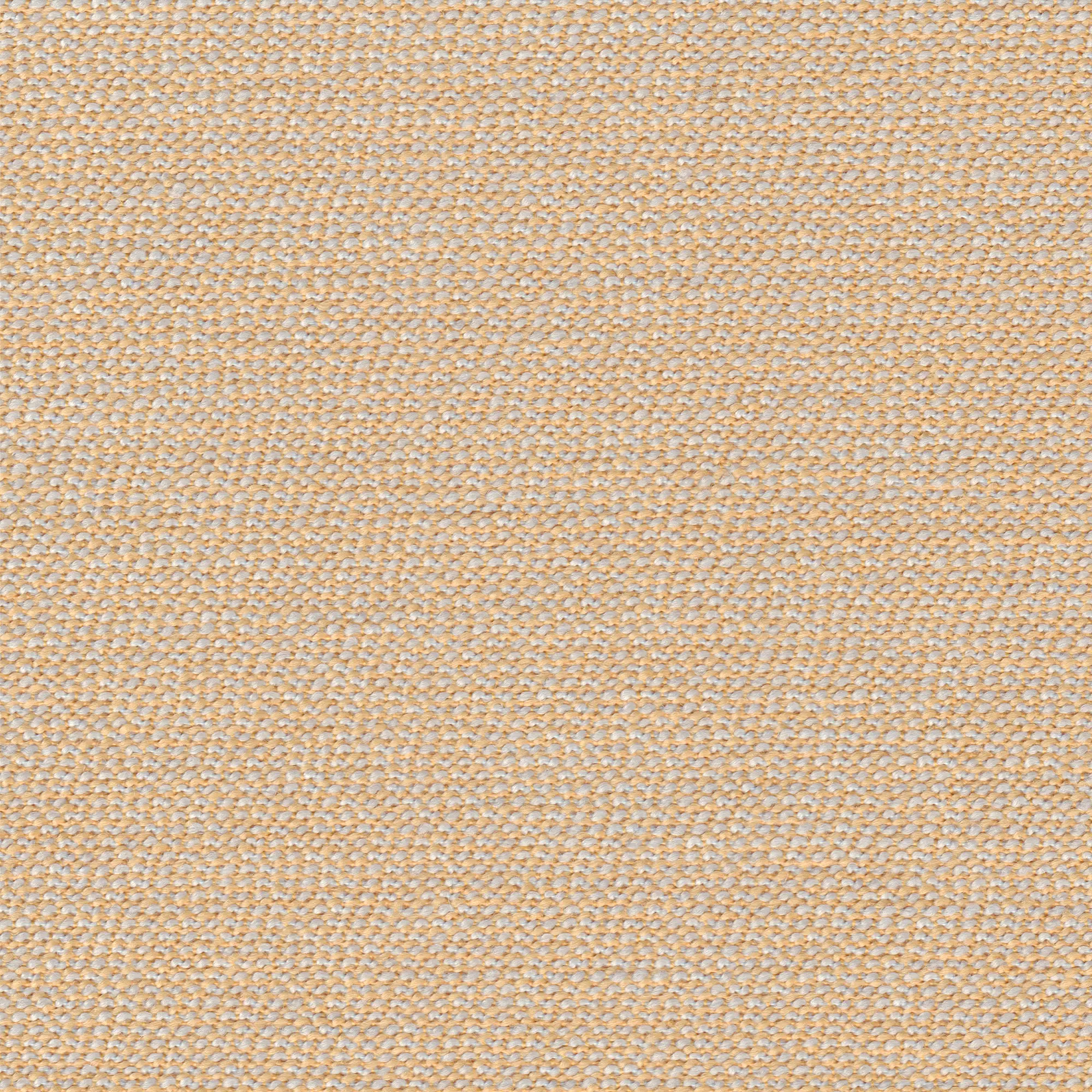 rohi - ARCO birch