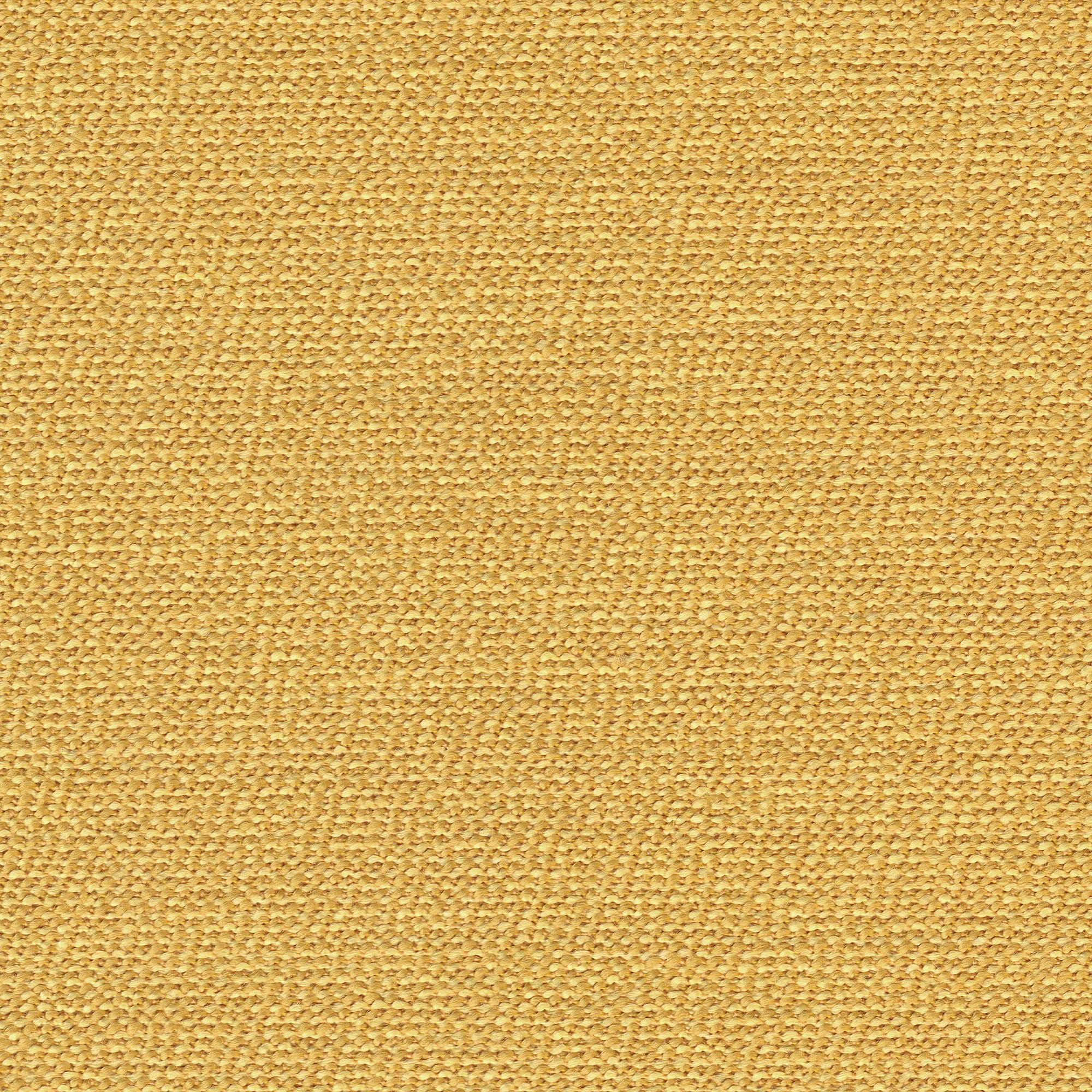 Display product ARCO corn from manufacturer rohi