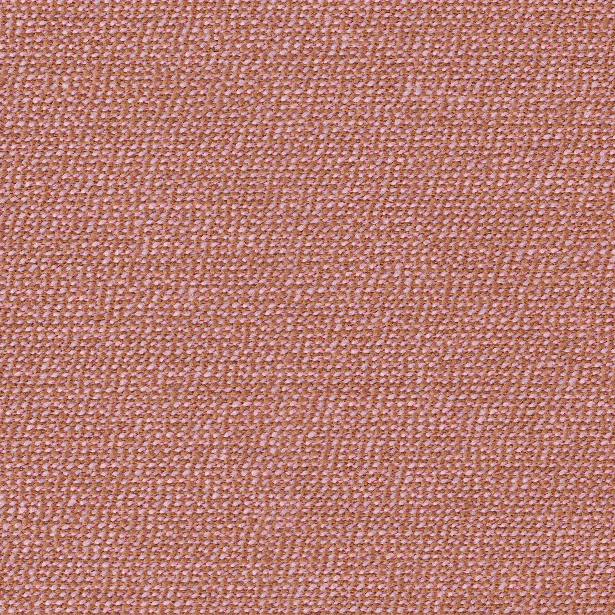 rohi - ARCO blossom