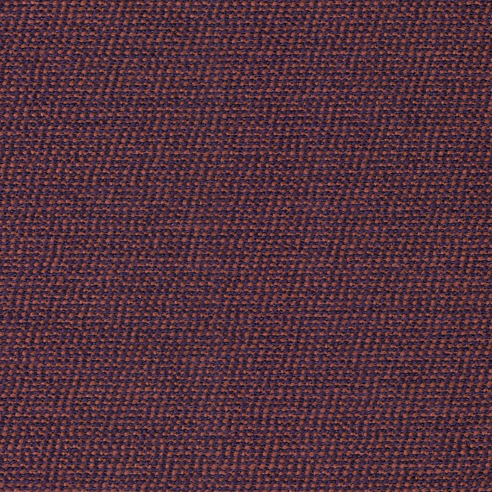 rohi - ARCO magma