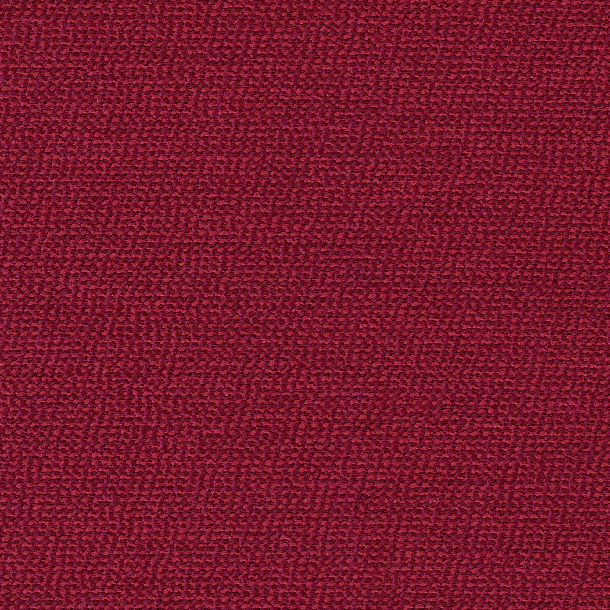 rohi - ARCO cherry