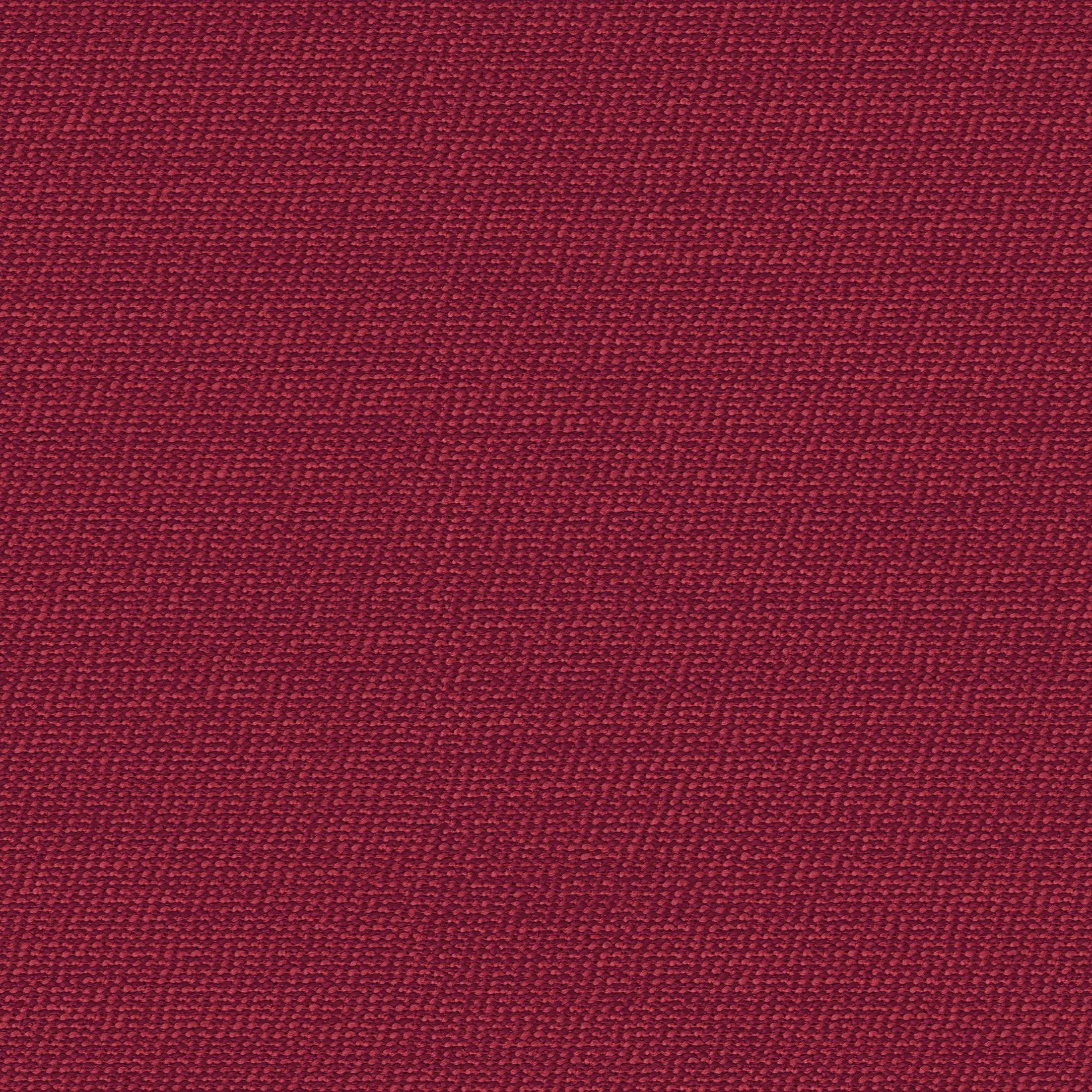 rohi - ARCO cherry