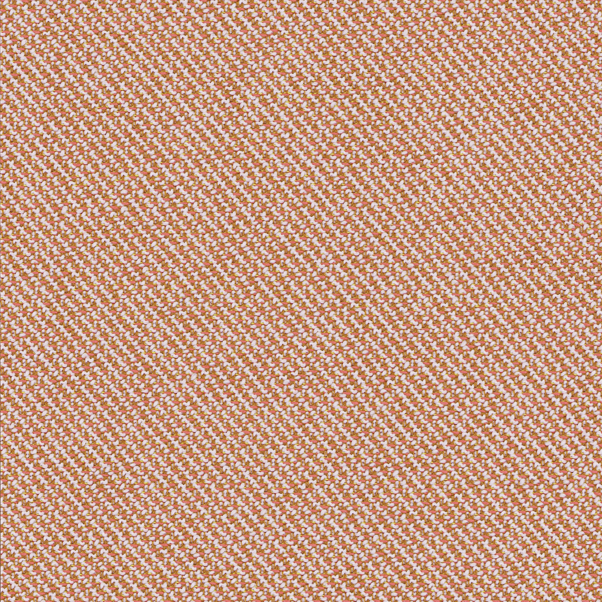 ONDA apricot