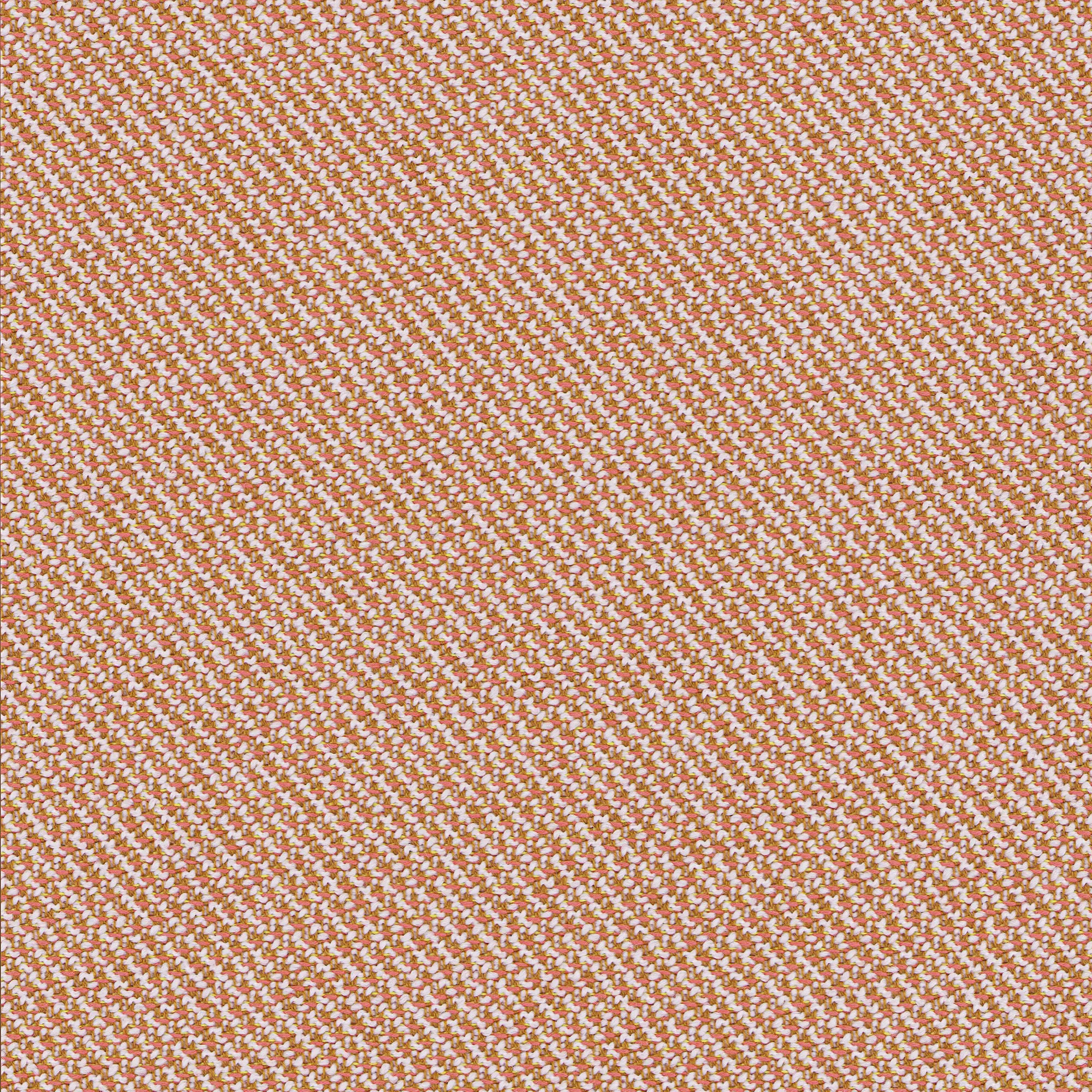 rohi - ONDA apricot