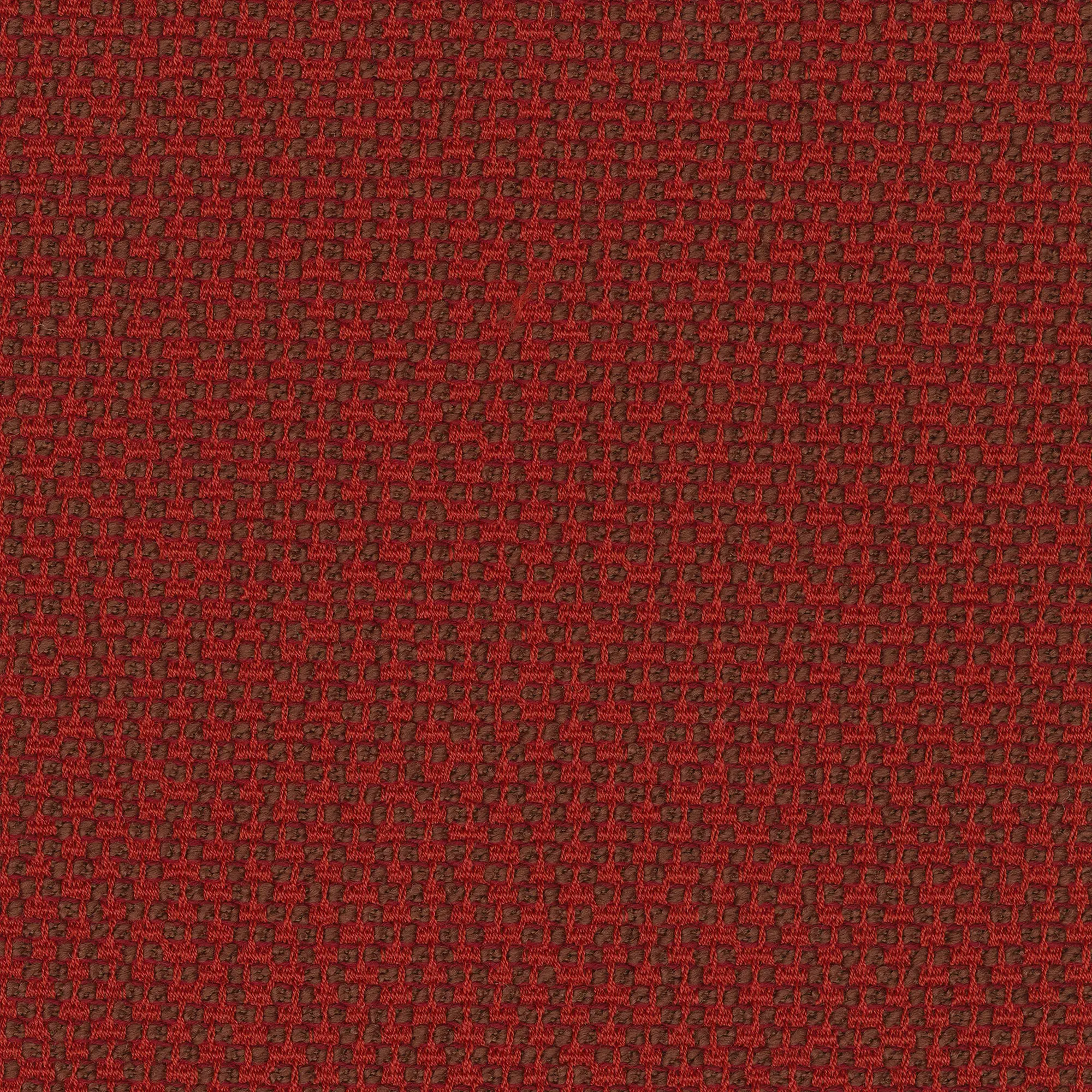 rohi - SPECIAL DANTE lava