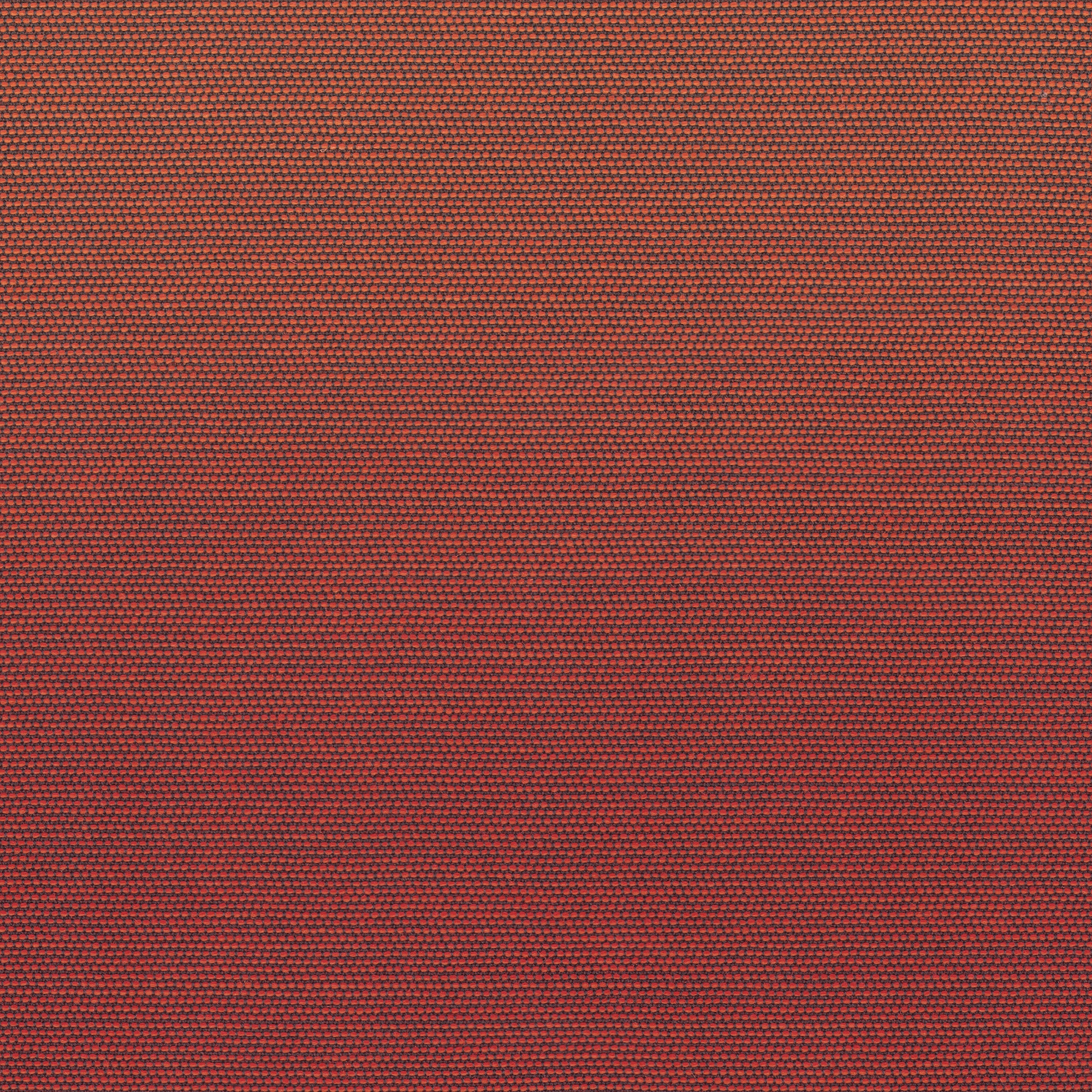 SPECIAL CHAMELEON cherry