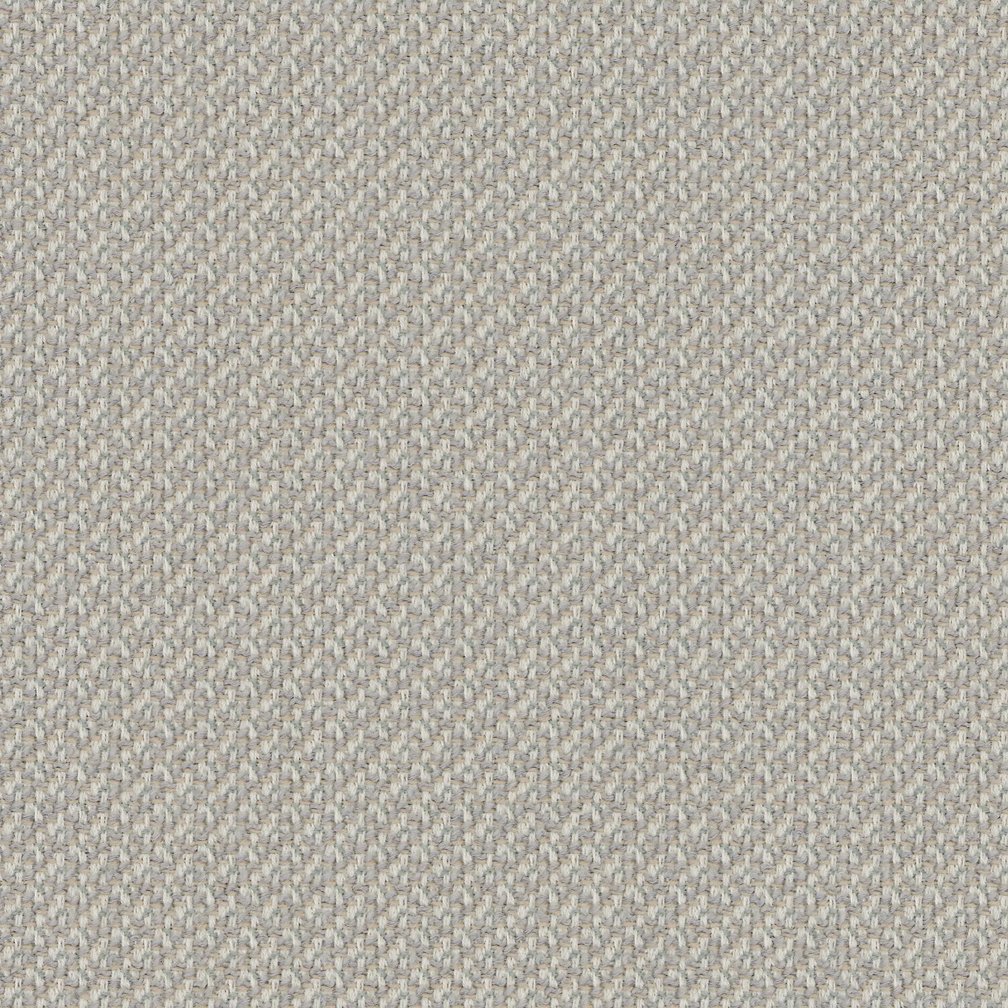 rohi - CLEO angora