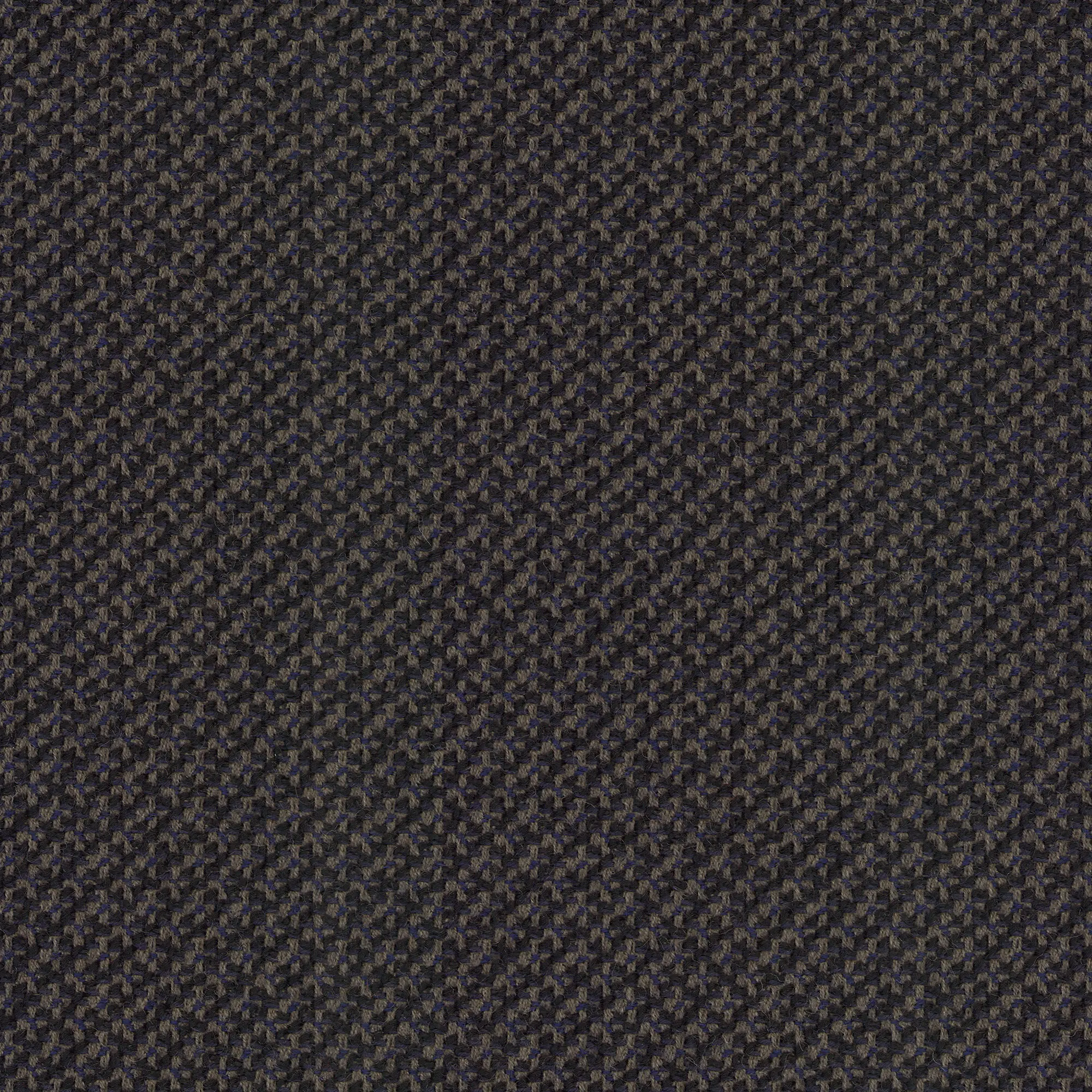 rohi - CLEO coal