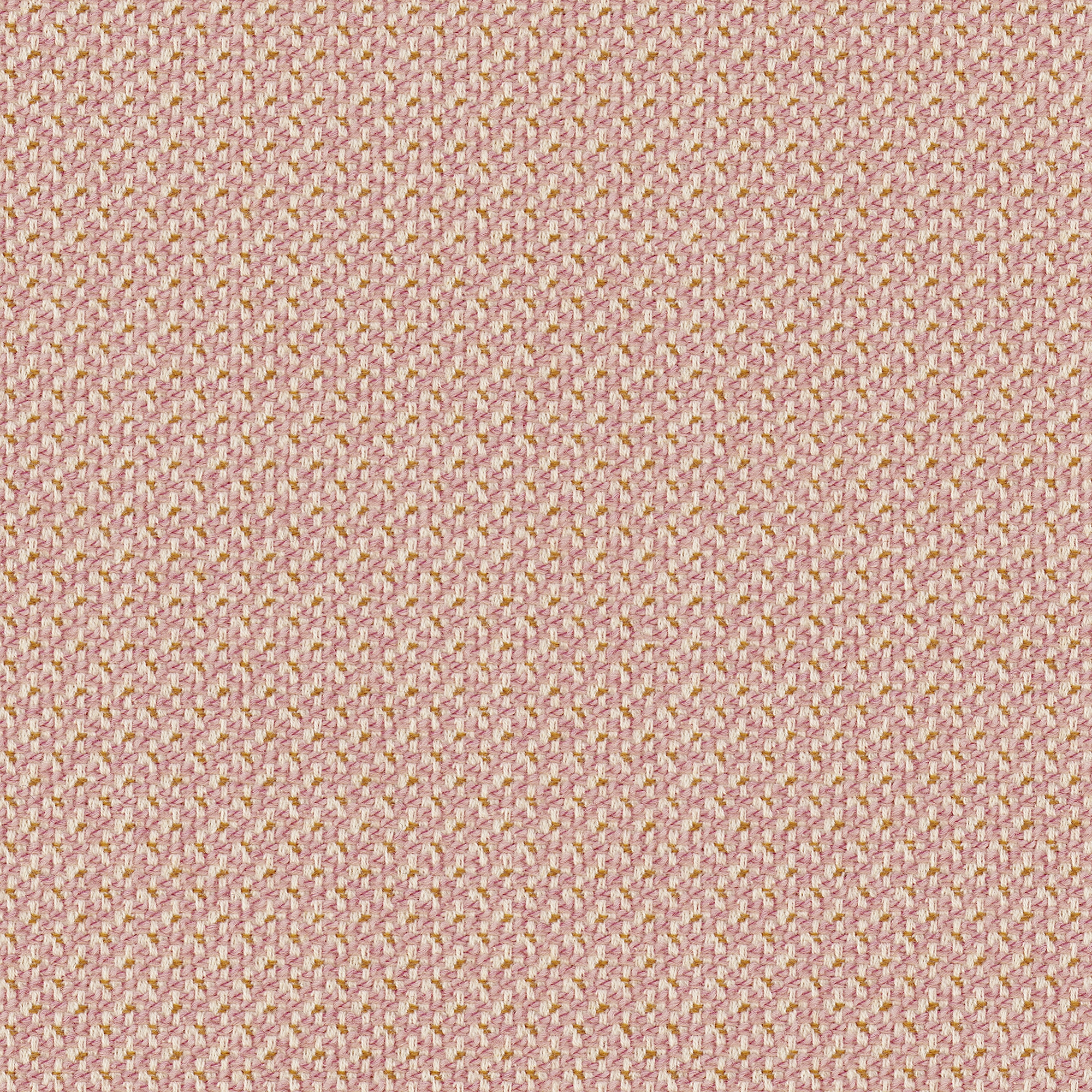 CLEO flamingo
